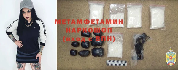 шишки Богородицк