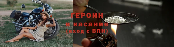 шишки Богородицк