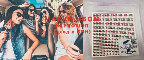 шишки Богородицк