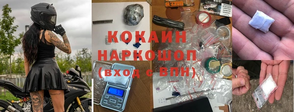 шишки Богородицк