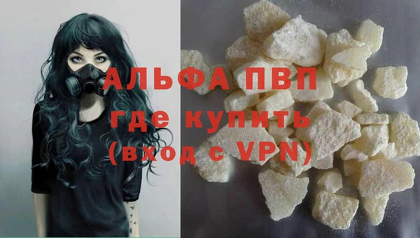 шишки Богородицк